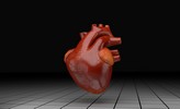 Heart_72022.jpg