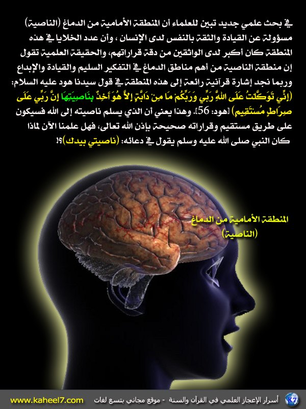           front-brain.JPG