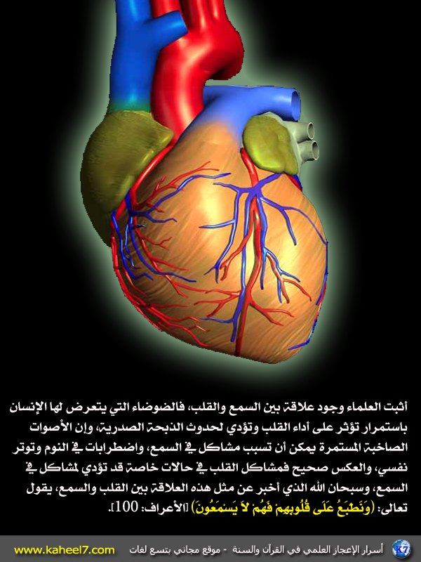 هل هناك علاقة بين حاسة السمع وبين القلب..؟! 