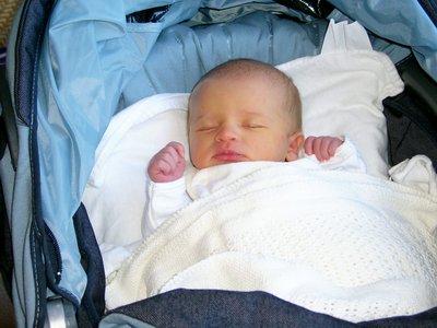 newborn-baby-girl-three-3-days-old-first-time-in-pram-1-PAR.JPG