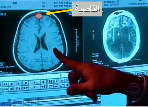 سوف نعيش من خلال هذا البحث مع بعض الحقائق العلمية