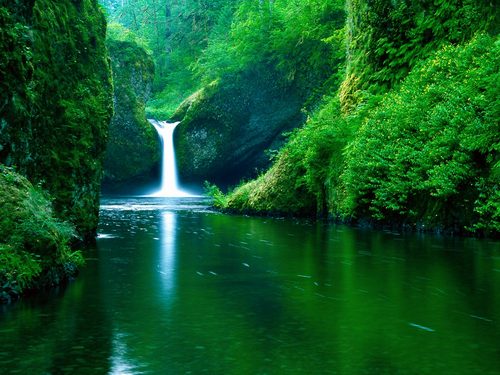 The balance in environment Punch%20Bowl%20Falls,%20Eagle%20Creek%20Wilderness%20Area,%20Columbia%20River%20Gorge,Oregon