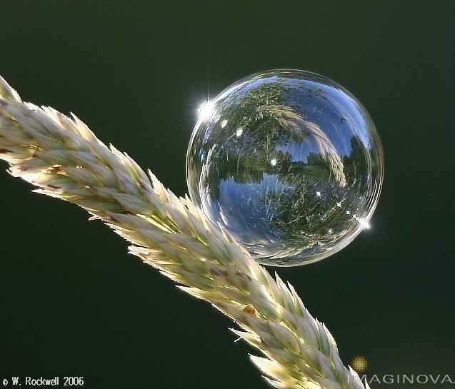 صور تشهد على عظمة الخالق ( سبحان الله ) Refraction,small_wm_cte