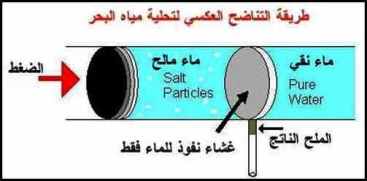 طاقة البحر... تسخير إلهي معجز