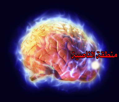 electric_brain%20copy111.jpg