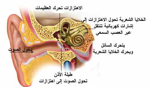 healing_quran_secrets_3.JPG