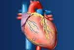 heart-image0.jpg